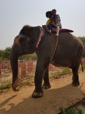 Marc et Edna se ballade dans la ville à dos d'éléphant